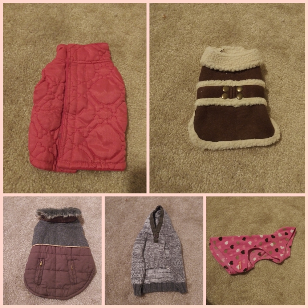 New-Various Doggy jackets(set of 5)